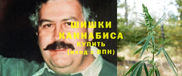 индика Верея